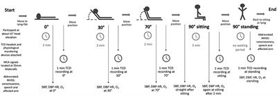 Cerebral hemodynamic response to upright position in acute ischemic stroke